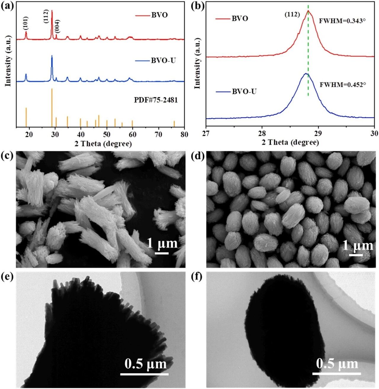西安工程大学郭雅妮团队综述：铋基光催化材料压电性能的研究进展