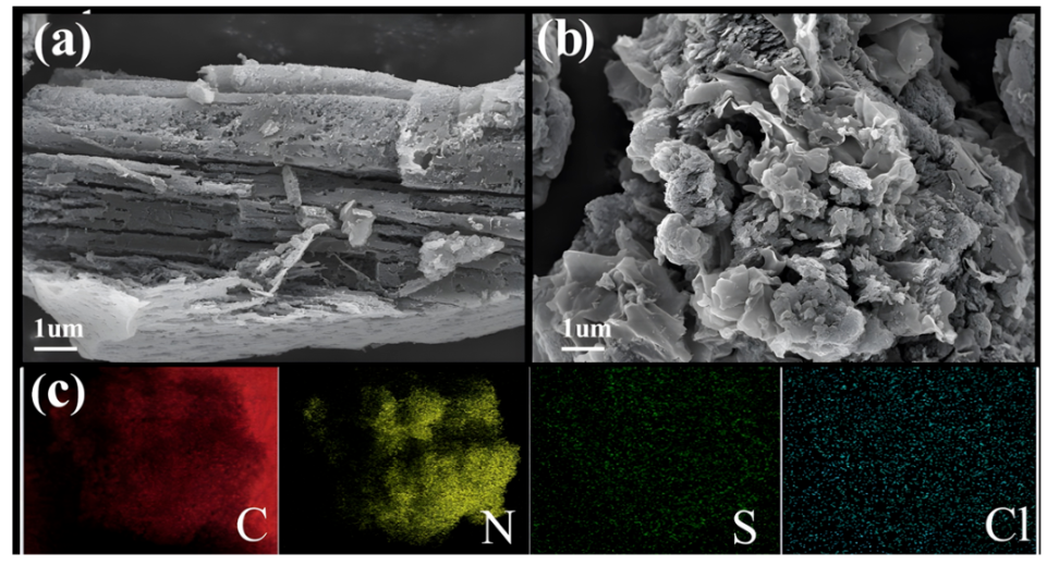 西安工程大学宗刚团队研究成果：氯硫共掺杂氮化碳的制备及其光催化性能