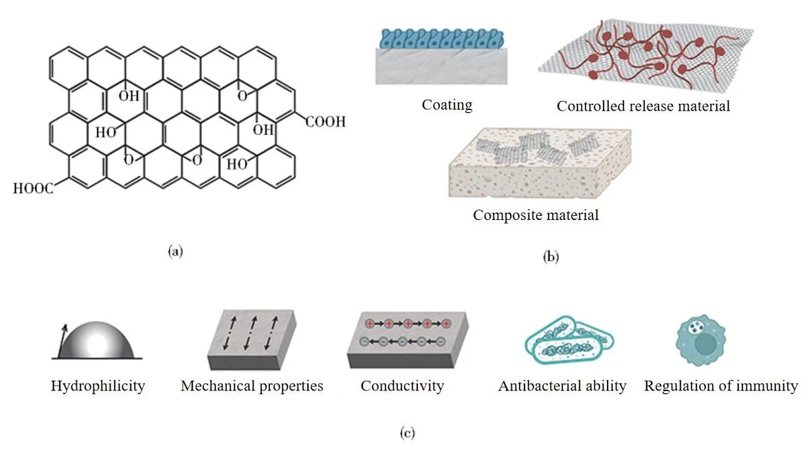 上海理工大学何星团队研究成果：用于骨修复的氧化石墨烯和细胞外囊泡的研究进展