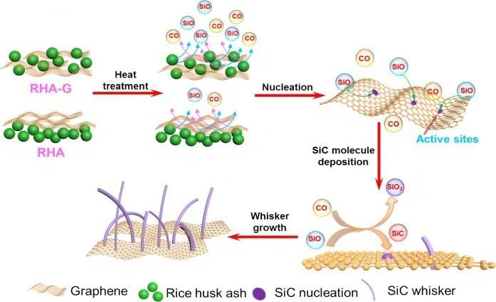 中国矿业大学（北京）马淑花团队研究成果：碳化硅晶须制备方法研究进展